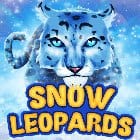 Snow Leopards game screenshot