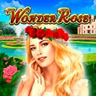 Wonder Rose